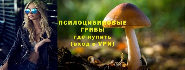 spice Волосово