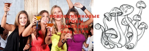 амф Саяногорск