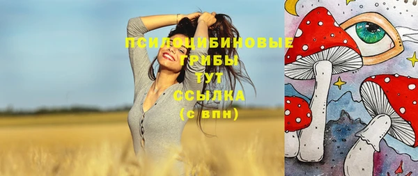 спиды Волоколамск